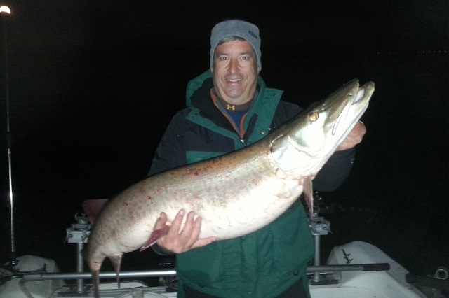 Click to expand / contract the width of this image