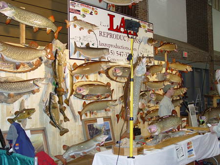 Click to expand / contract the width of this image