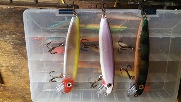 Click to expand / contract the width of this image