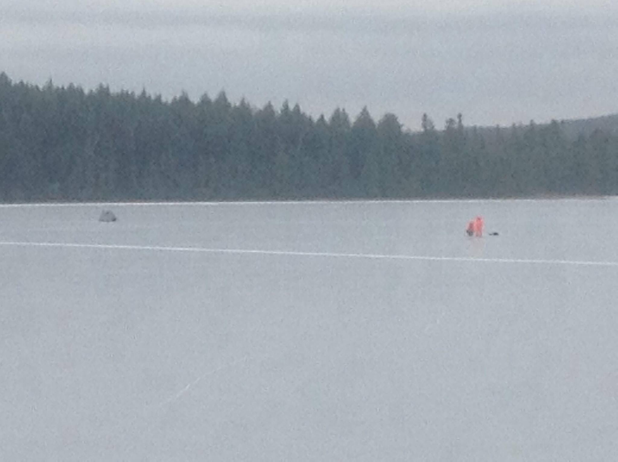 Click to expand / contract the width of this image