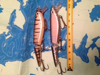 Click to expand / contract the width of this image