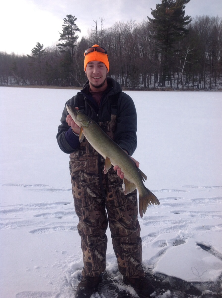 Click to expand / contract the width of this image