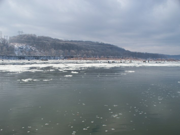 Click to expand / contract the width of this image