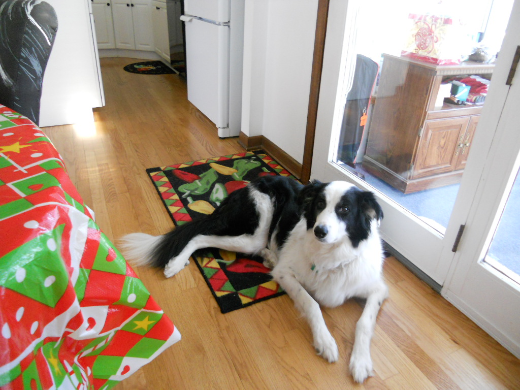 Click to expand / contract the width of this image