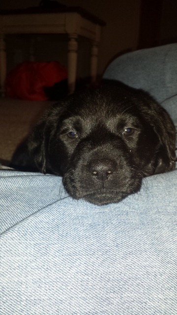 Click to expand / contract the width of this image