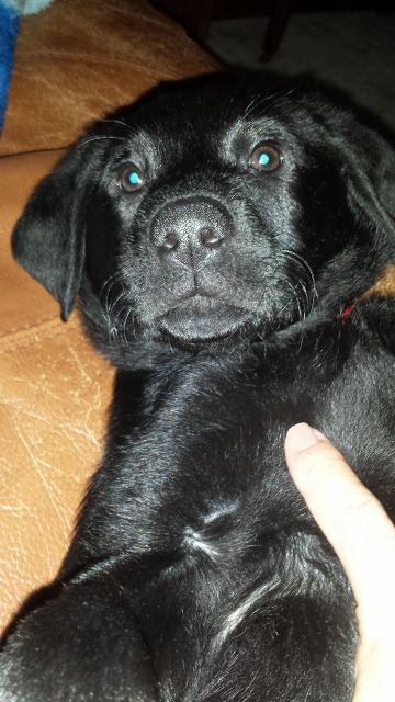 Click to expand / contract the width of this image