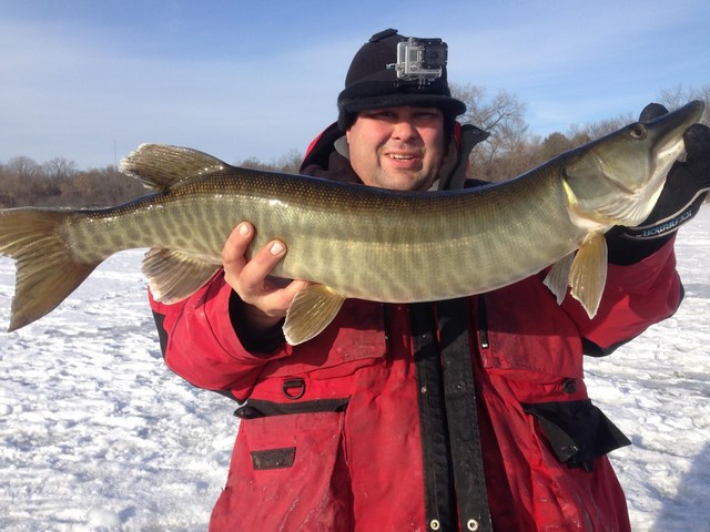 Click to expand / contract the width of this image