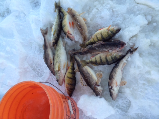 Click to expand / contract the width of this image