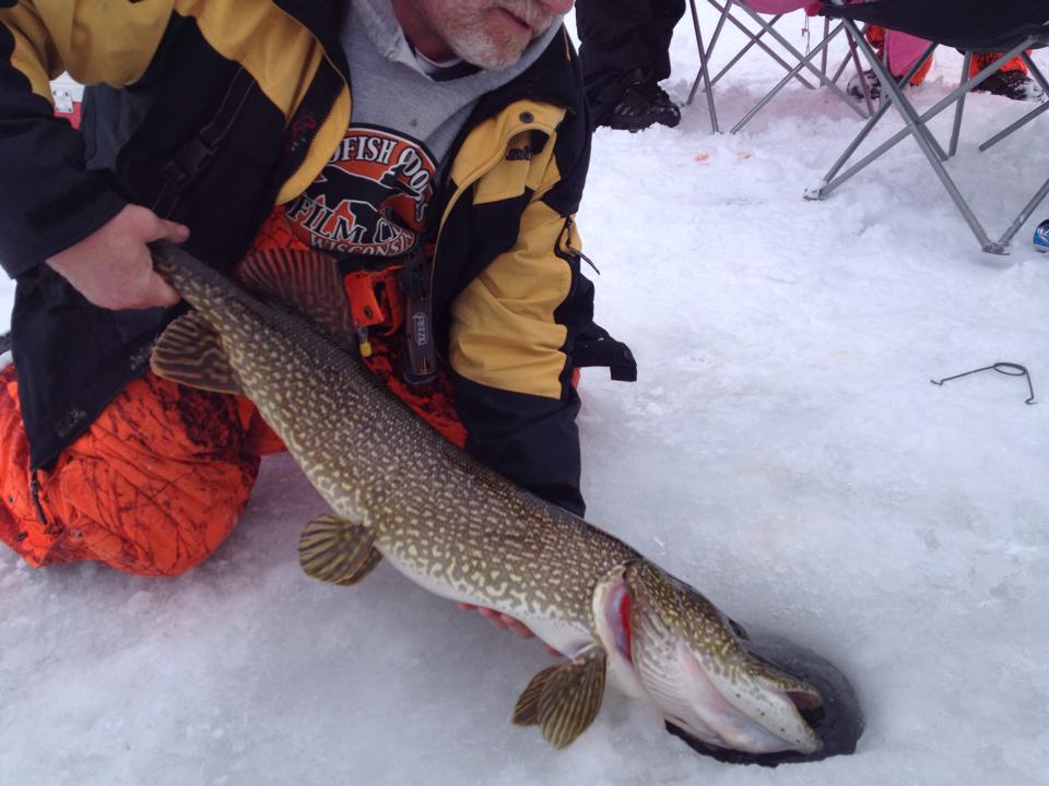 Click to expand / contract the width of this image