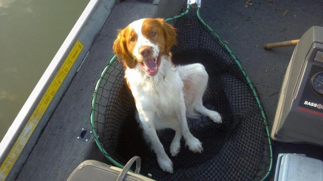 Click to expand / contract the width of this image