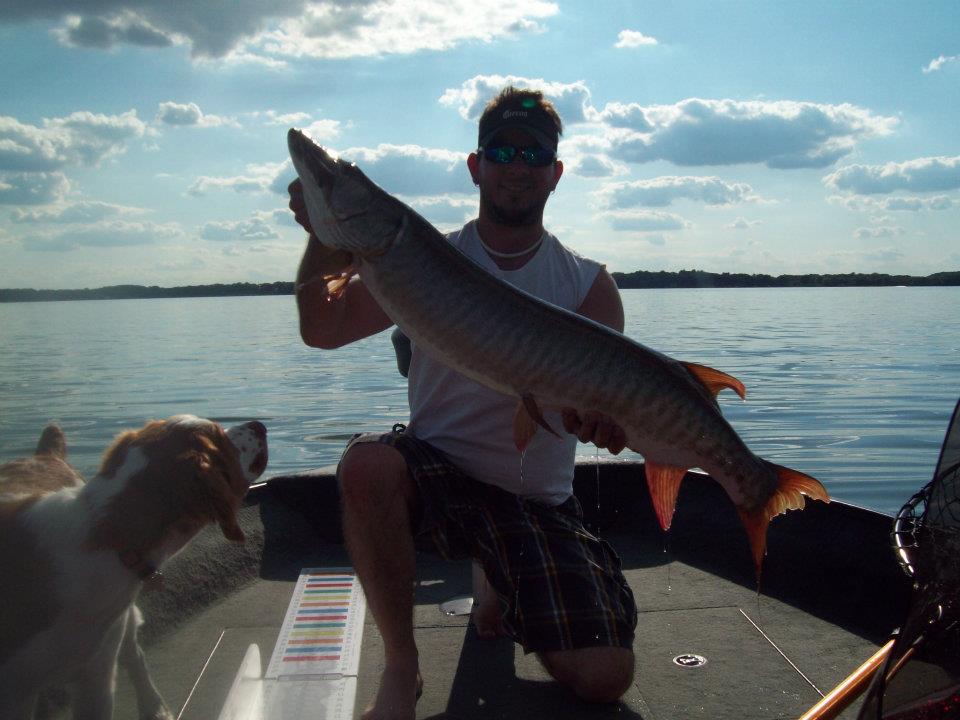 Click to expand / contract the width of this image