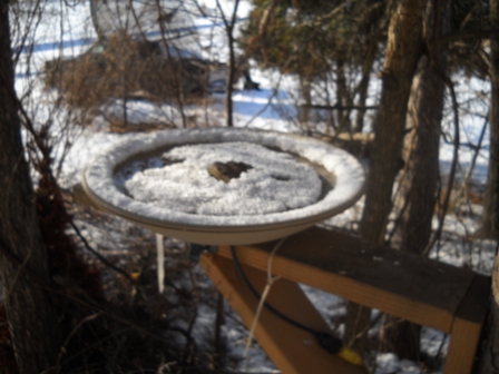 Click to expand / contract the width of this image