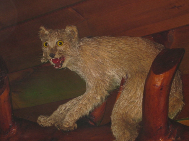 Click to expand / contract the width of this image