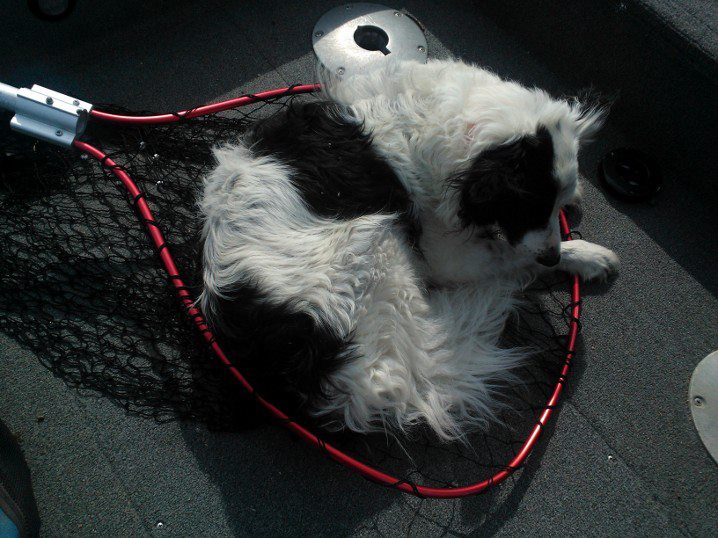 Click to expand / contract the width of this image