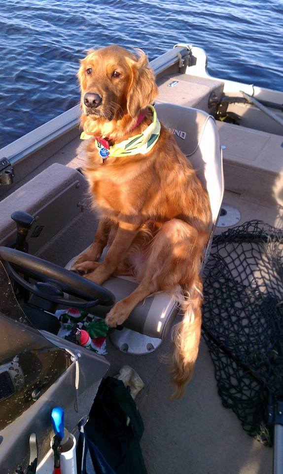 Click to expand / contract the width of this image