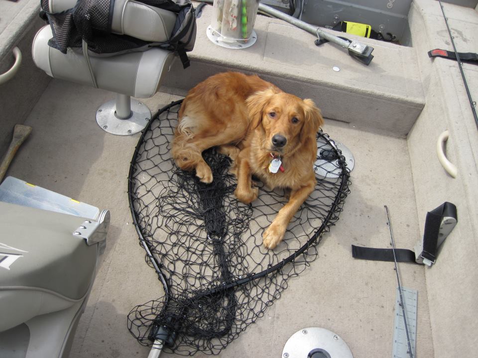 Click to expand / contract the width of this image