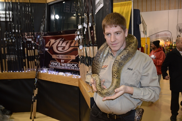 Click to expand / contract the width of this image