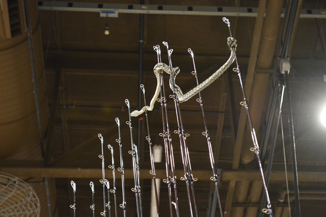 Click to expand / contract the width of this image