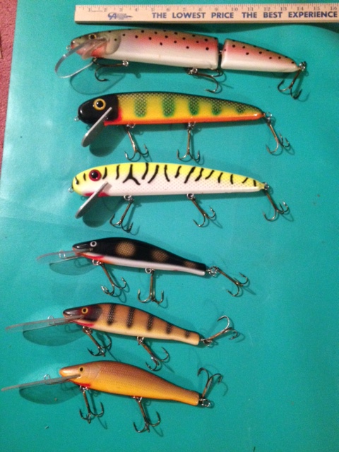 MuskieFIRST  10 Hooker crank baits » Buy , Sell, and Trade