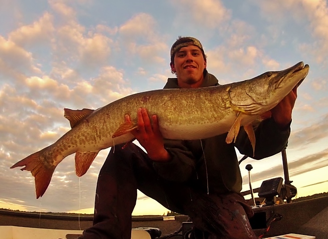 Click to expand / contract the width of this image