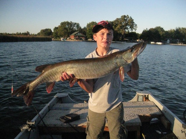 Click to expand / contract the width of this image