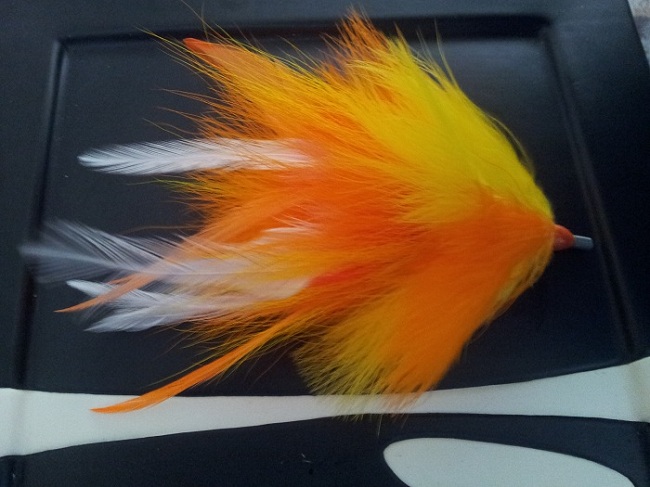 Click to expand / contract the width of this image