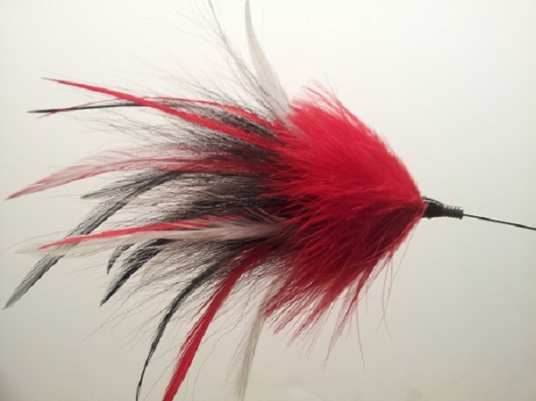 Click to expand / contract the width of this image