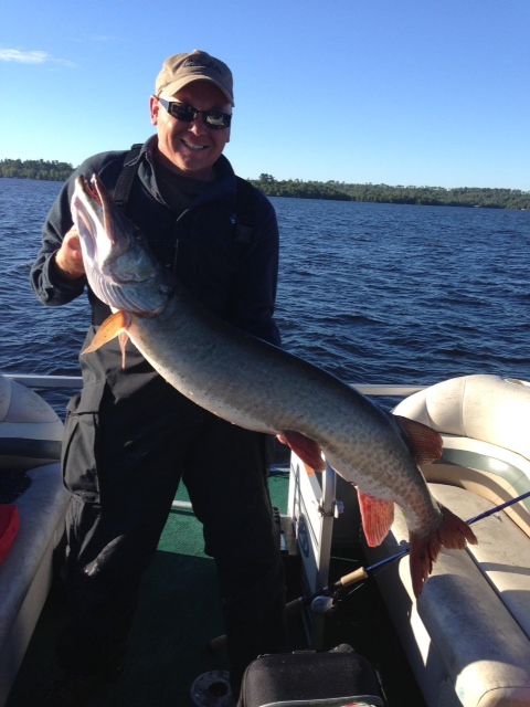 Click to expand / contract the width of this image