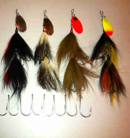 Click to expand / contract the width of this image