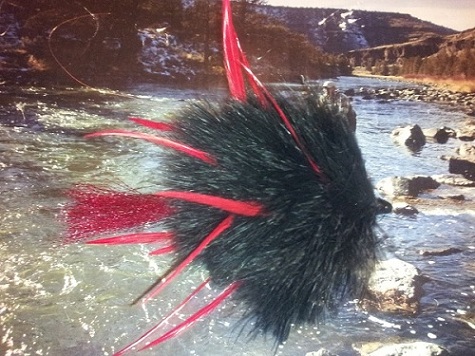 Click to expand / contract the width of this image