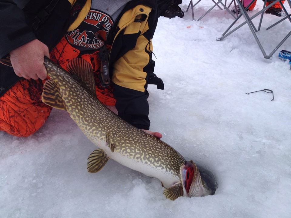 Click to expand / contract the width of this image