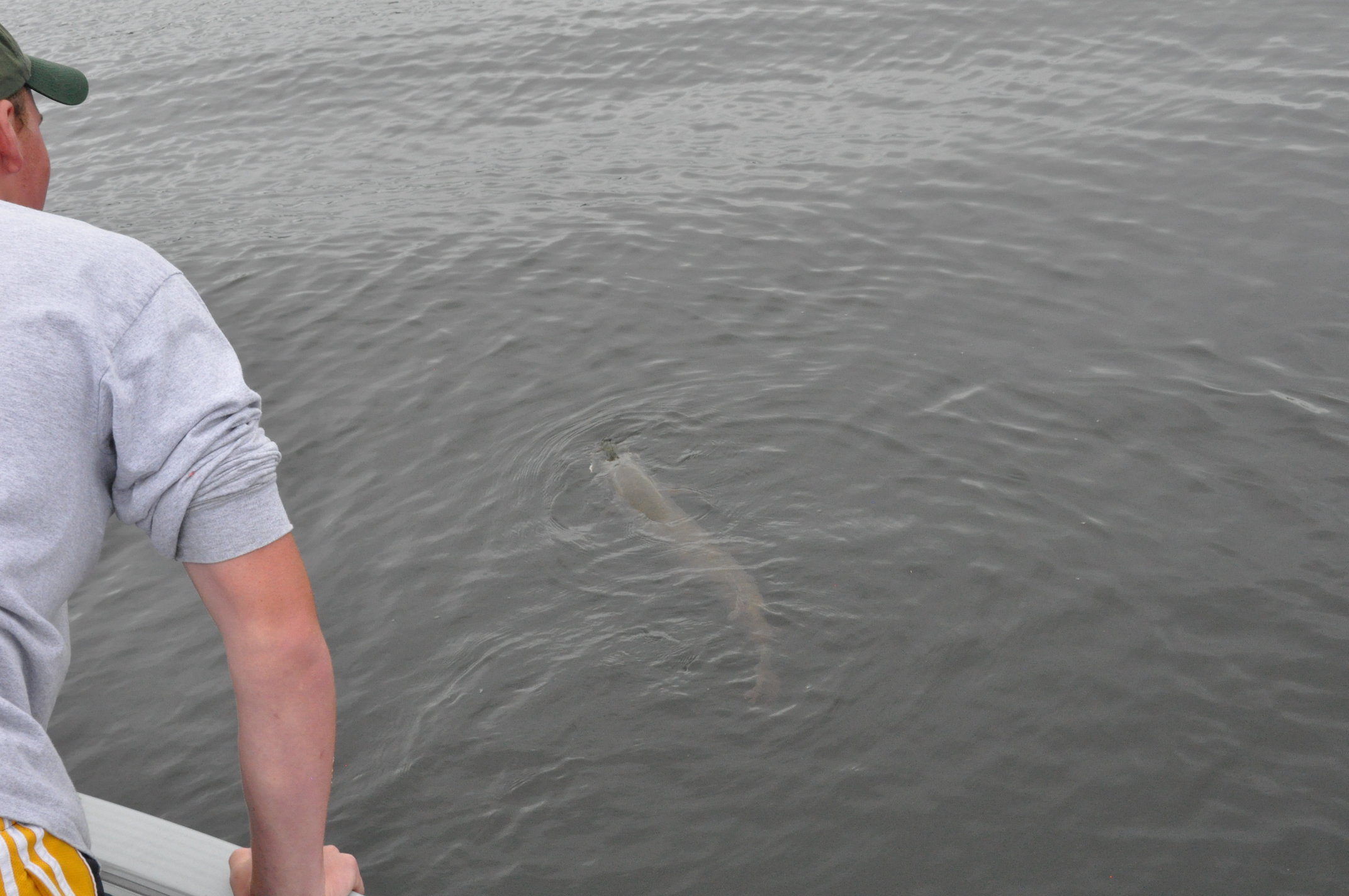 Click to expand / contract the width of this image