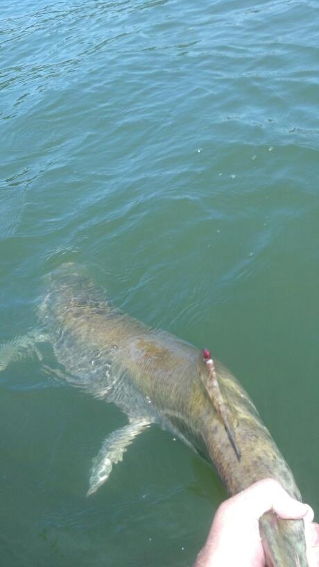 Click to expand / contract the width of this image