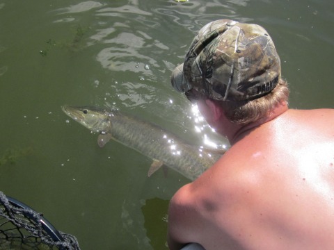 Click to expand / contract the width of this image