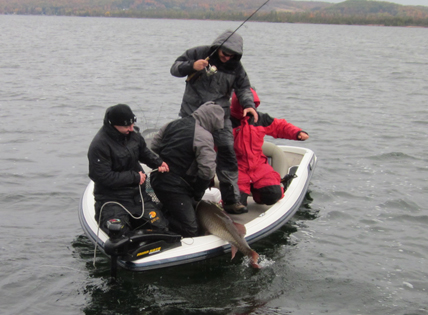 Click to expand / contract the width of this image