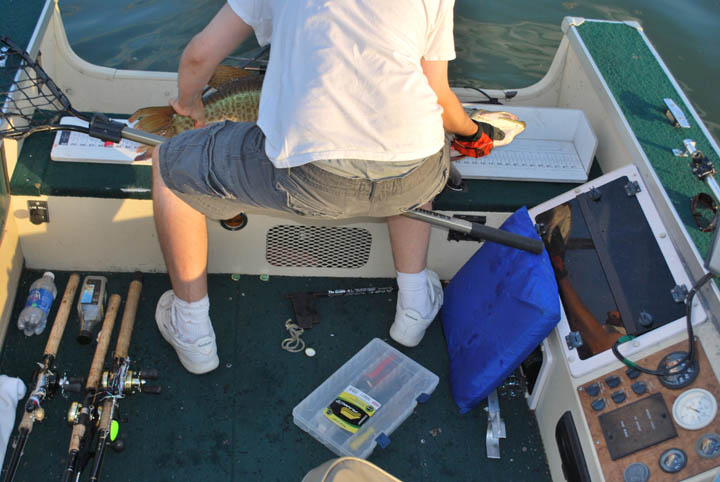 Click to expand / contract the width of this image