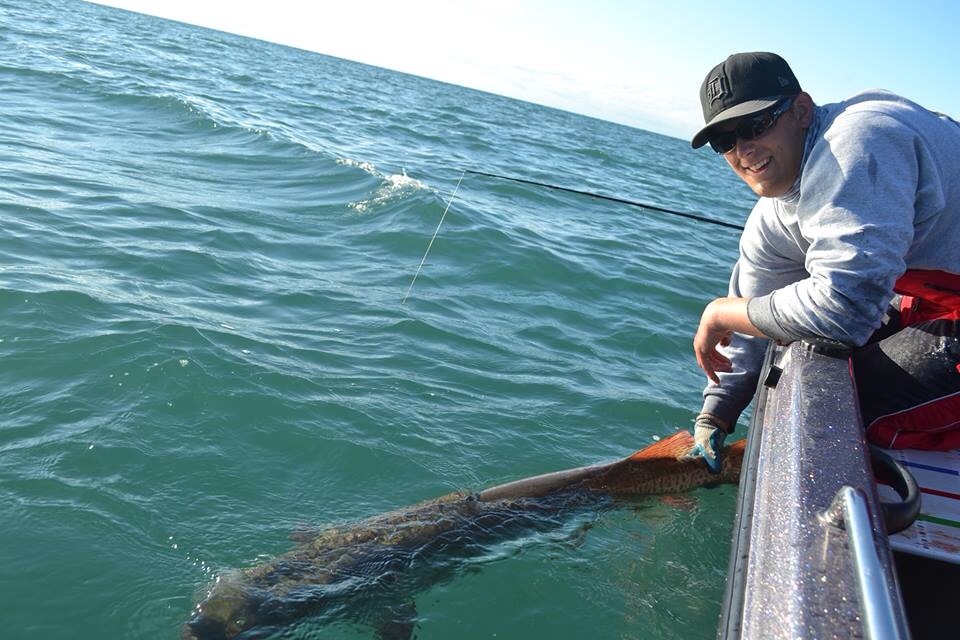 Click to expand / contract the width of this image