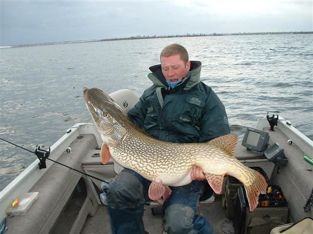 Northern Pike were active and these guys learned a lot about MN