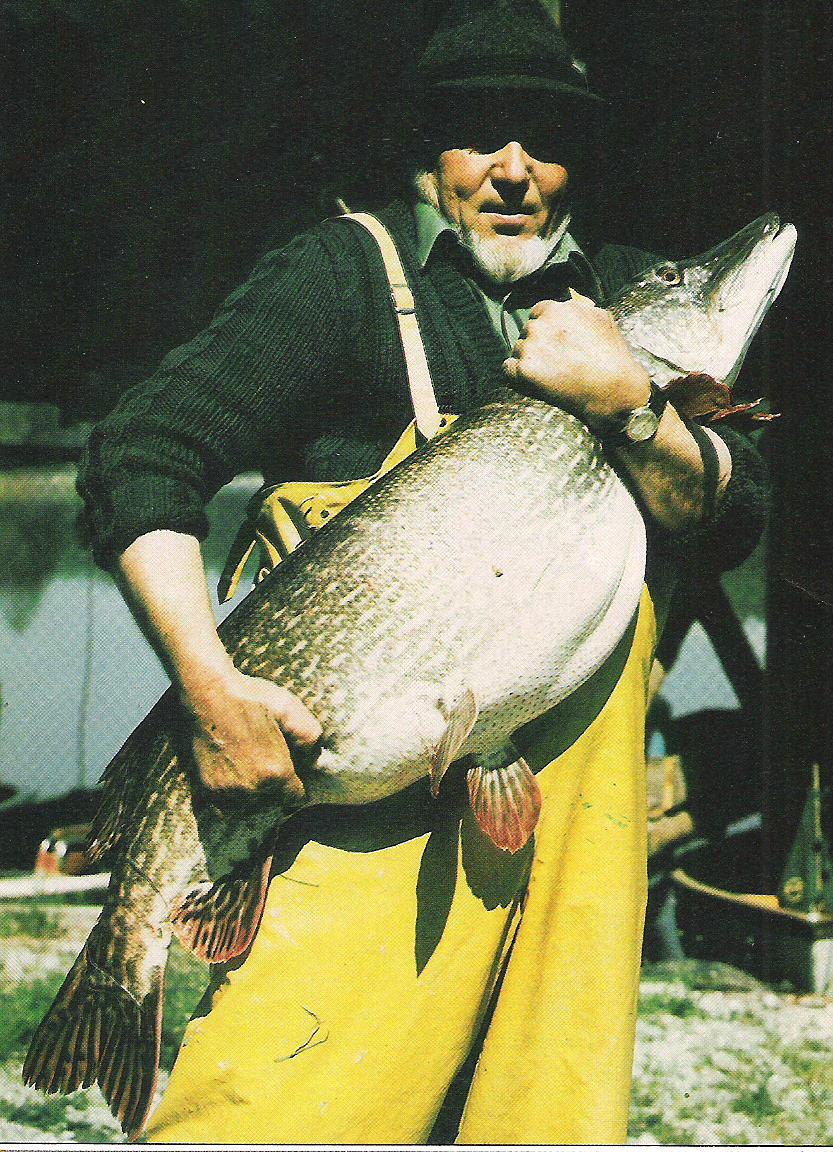 Maine man reels in massive, 'world-class' 25.9 pound northern pike