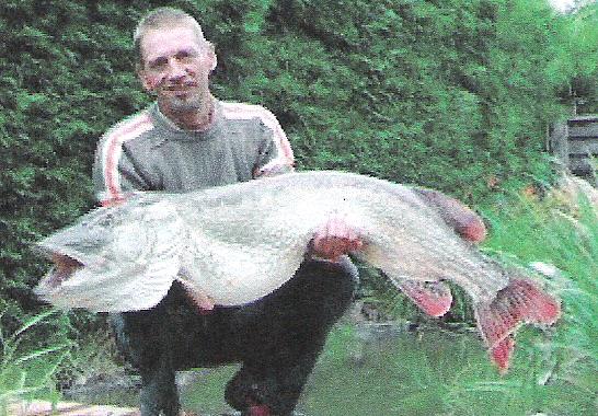 Heilman: Number of people spearing pike has declined sharply, Local Sports