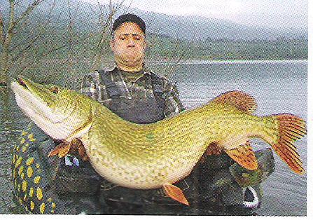 Great predator fishing reported from Derg