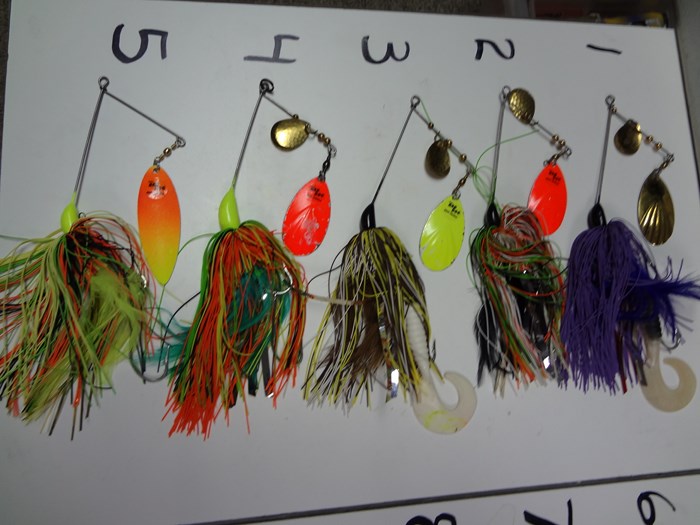 Click to expand / contract the width of this image