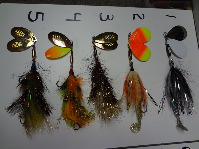 Click to expand / contract the width of this image