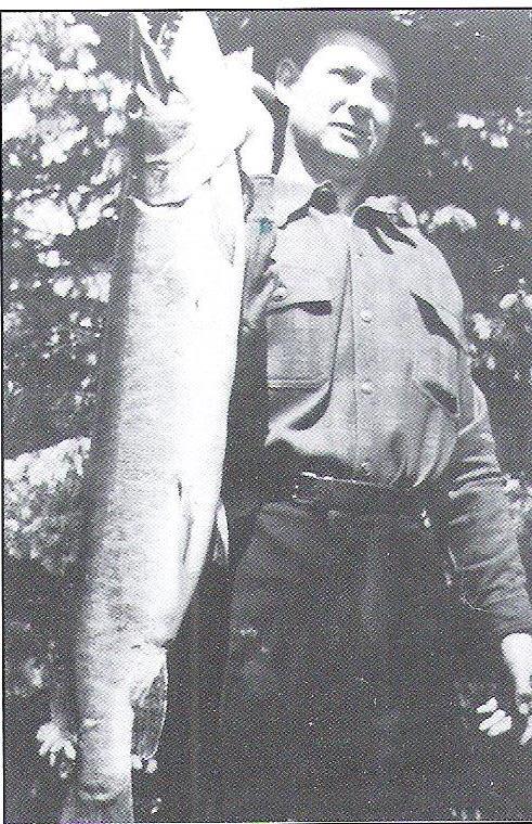 Click to expand / contract the width of this image