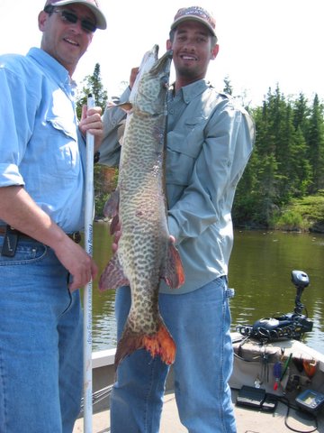 Click to expand / contract the width of this image