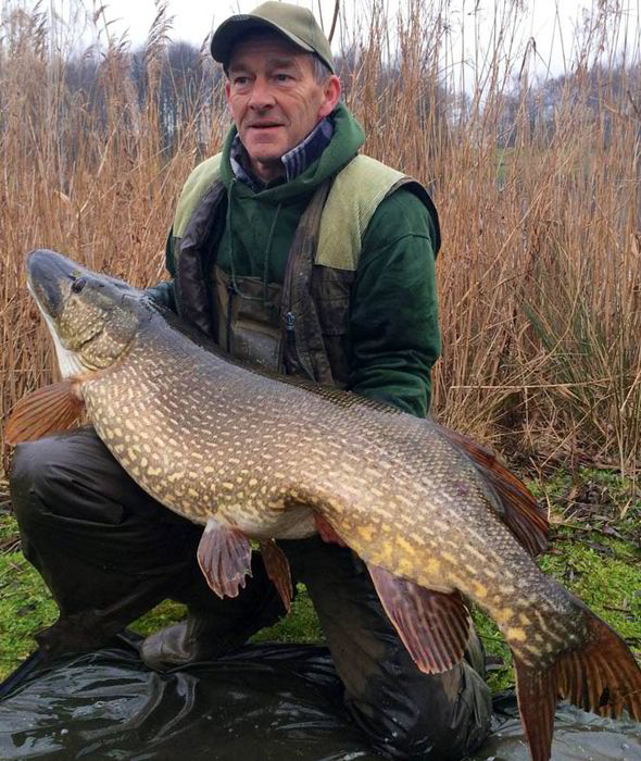 Maine man reels in massive, 'world-class' 25.9 pound northern pike