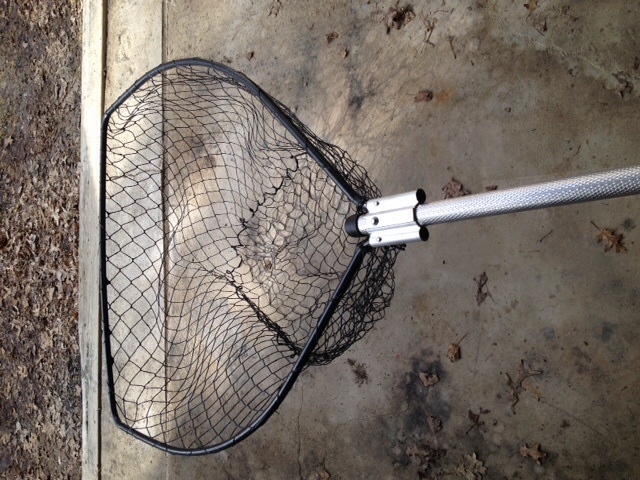 Click to expand / contract the width of this image