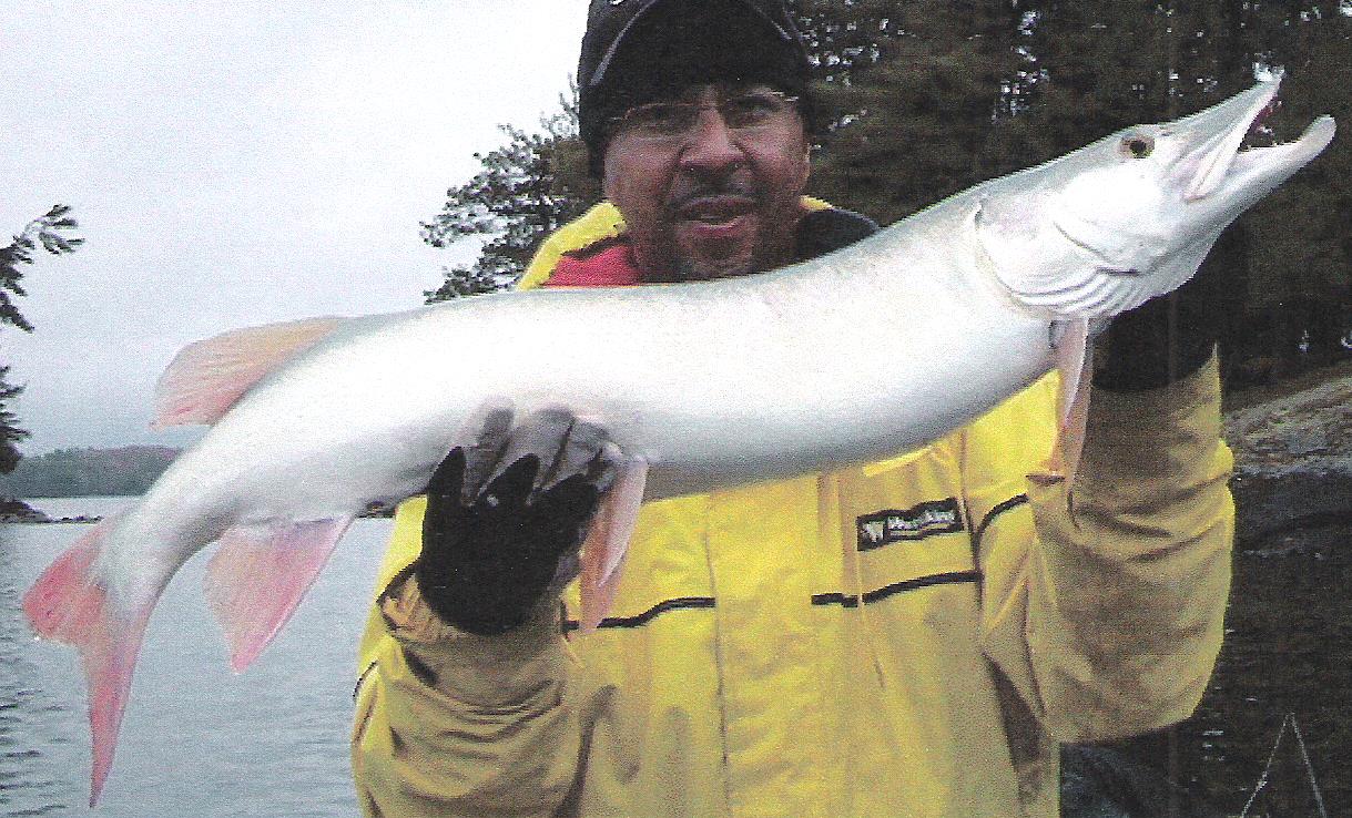 First Little Muskie of the Season! First ever shoepack strain muskie for  me, very exciting! : r/esox