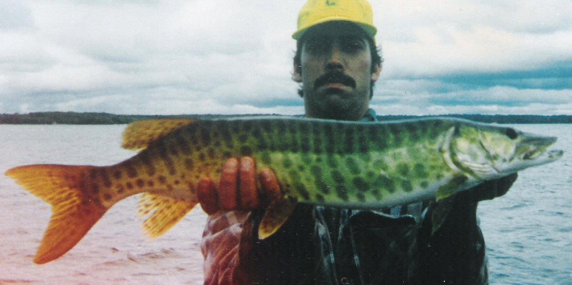 Unusual Chautauqua fish - Musky, Tiger Musky & Pike (ESOX) - Lake