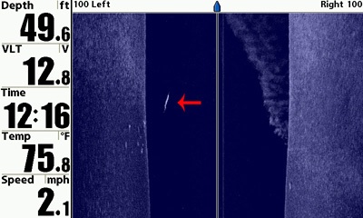 Click to expand / contract the width of this image